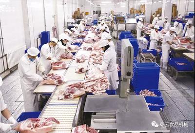 觸目驚心！豬價“跌跌不休”，養殖戶何去何從？食品銷售端迎來新挑戰與機遇